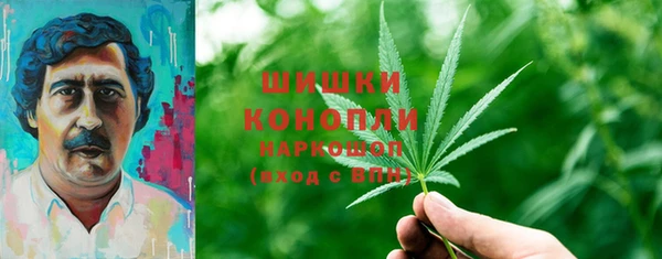 дмт Алзамай