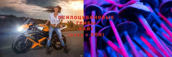 дмт Алзамай