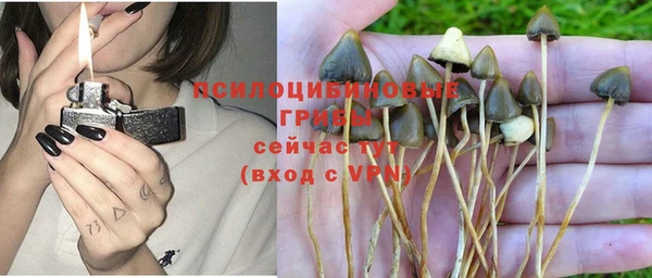 круглые Алексин