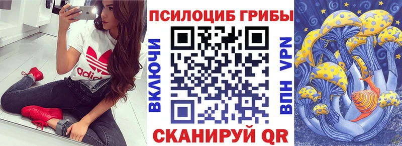 наркота  Сухиничи  hydra ONION  Псилоцибиновые грибы Psilocybe 